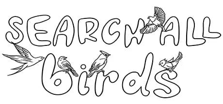 SEARCH ALL - BIRDS — обложка