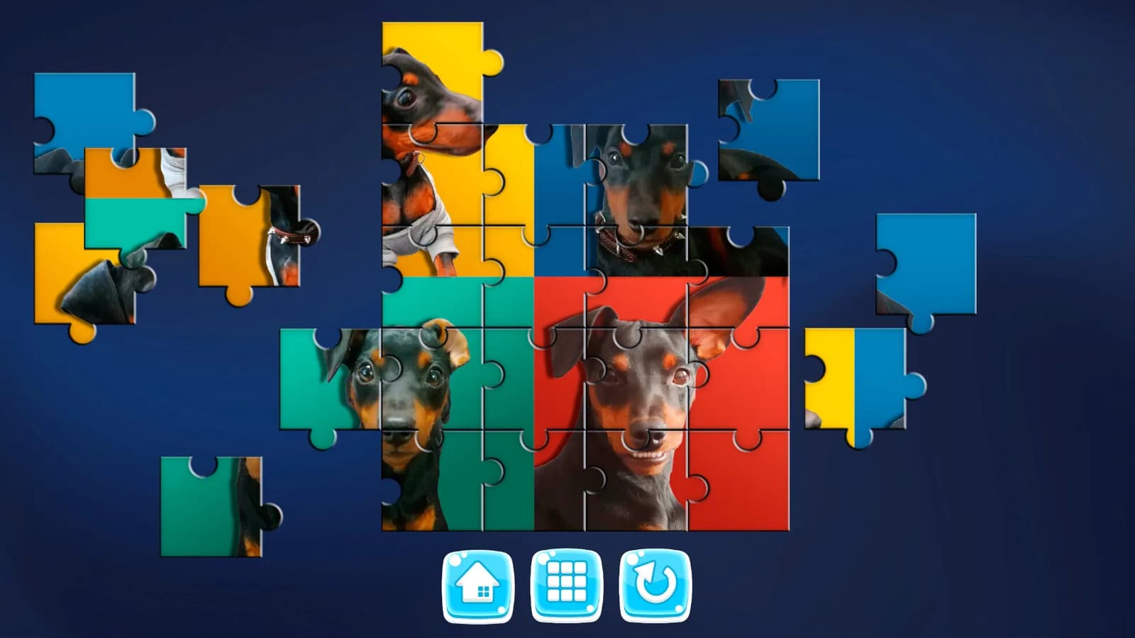 MY DOG! — скриншот