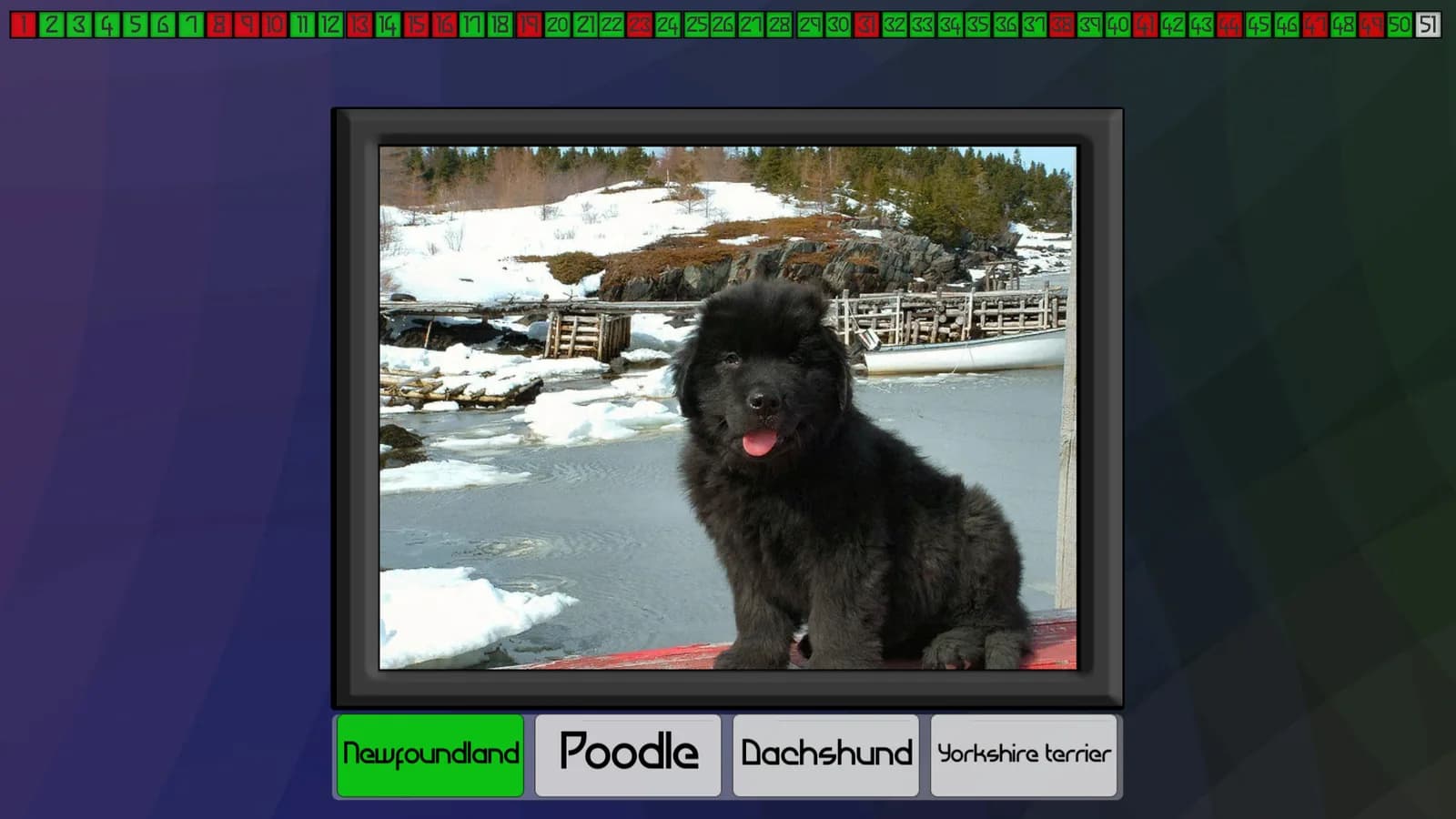 Test your knowledge: Dogs — скриншот