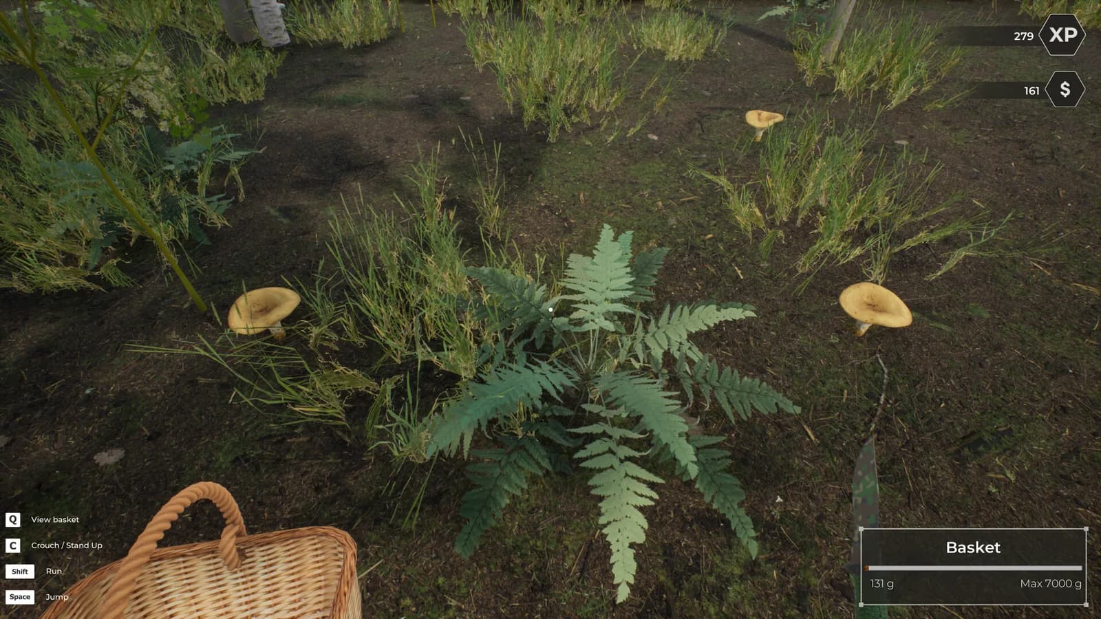 Mushroom Hunter World — скриншот