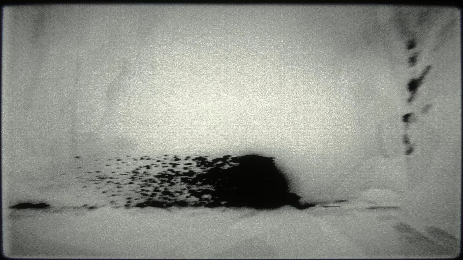 OMUT — скриншот