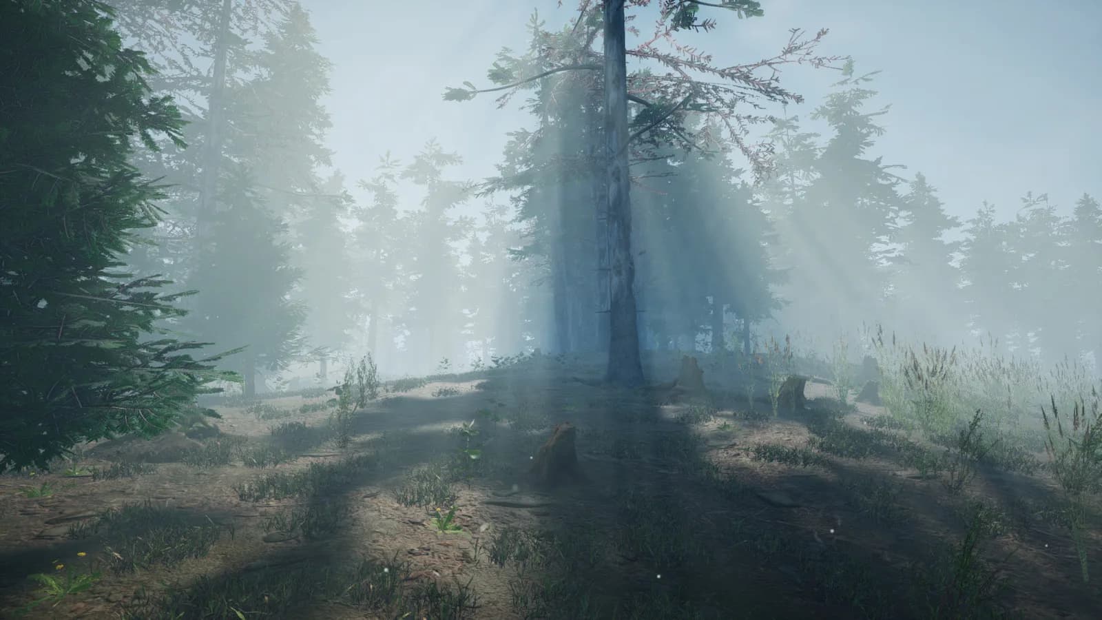 Mushroom Picker Simulator — скриншот