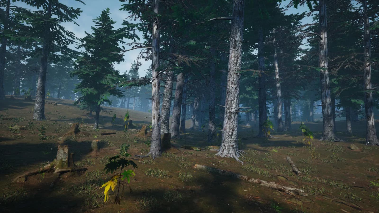 Mushroom Picker Simulator — скриншот